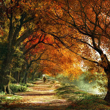 Схема вышивки «№337391»