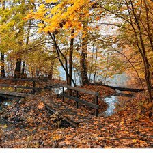 Схема вышивки «№337402»