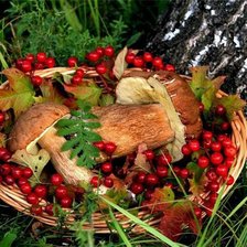 Схема вышивки «№337406»