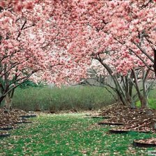 Схема вышивки «№337418»