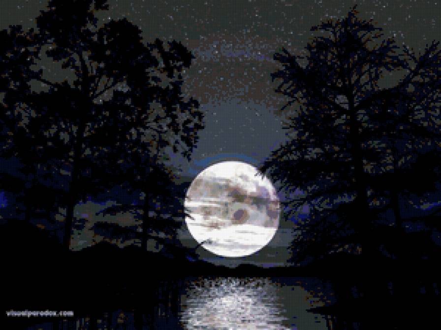 №337426 - природа, луна, пейзаж, ночь, лес - предпросмотр