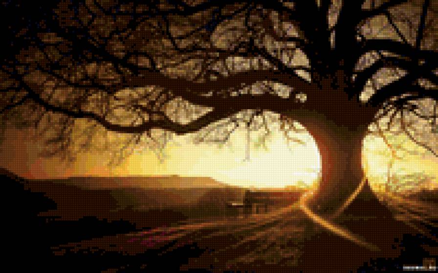 дерево - пейзаж, дерево - предпросмотр