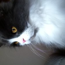 Схема вышивки «№337516»