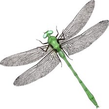 Схема вышивки «Стрекоза»