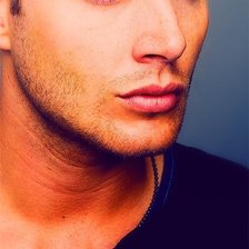 Схема вышивки «Дженсен»