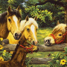 Схема вышивки «лошади»