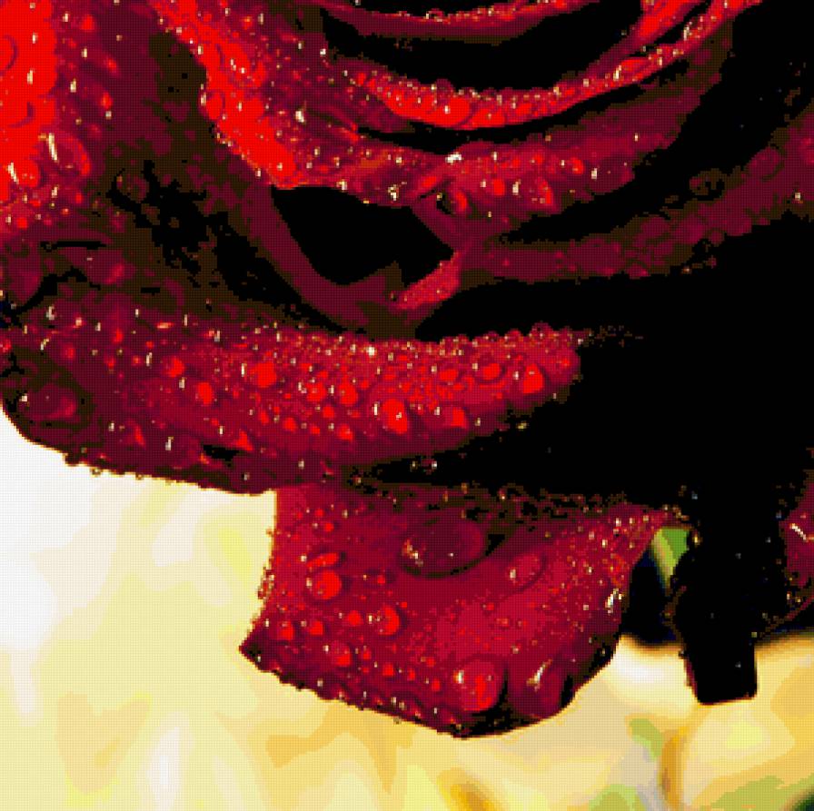 Роза-2 (размер канвы 40х60) - красная, цветок, роза - предпросмотр