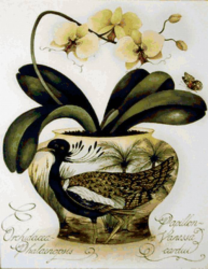 Цветочная фантазия - красота, цветы - предпросмотр