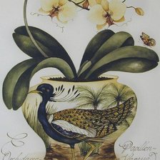 Цветочная фантазия