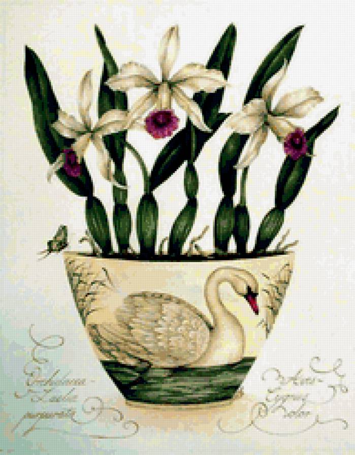 Цветочная фантазия - красота, цветы - предпросмотр