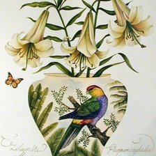 Схема вышивки «Цветочная фантазия»