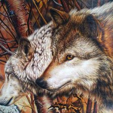 Схема вышивки «волки пара»