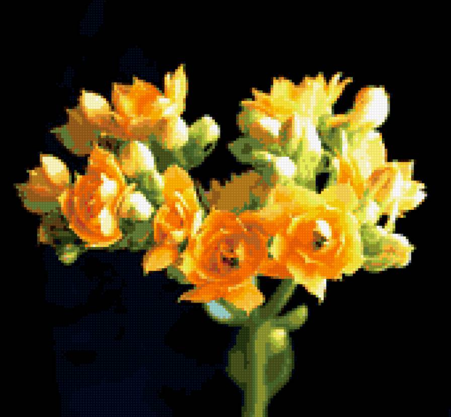 цветы на черном - предпросмотр