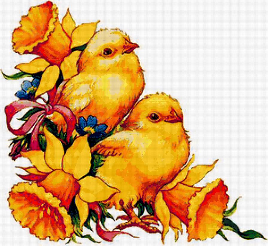 Пасхальные цыплята - птички, нарциссы, пасха, цыпленок, цыплята - предпросмотр