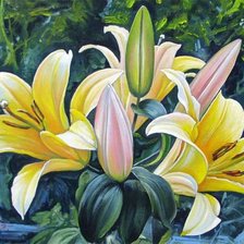 Схема вышивки «лилии»