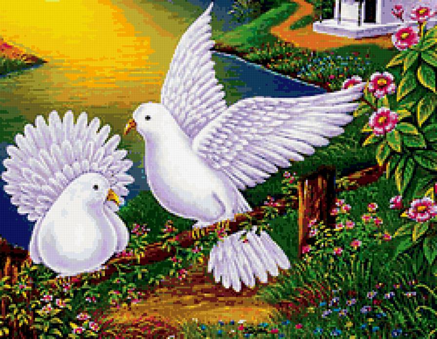 Пара голубков - голубки - предпросмотр