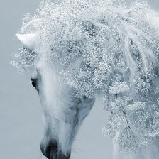 Схема вышивки «Лошадь»