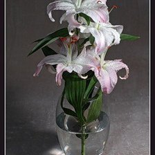 Схема вышивки «лилии»