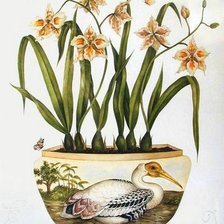 Цветочное настроение