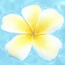 Схема вышивки «Плюмерия нежность»