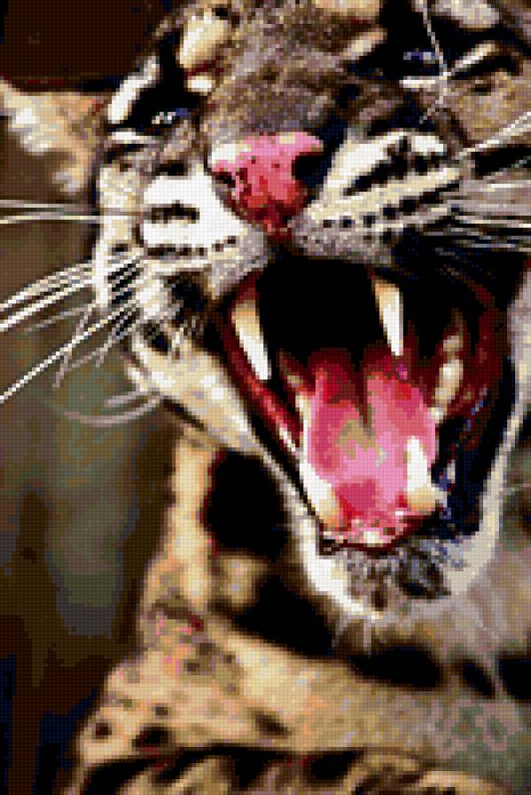 тигриный оскал - предпросмотр