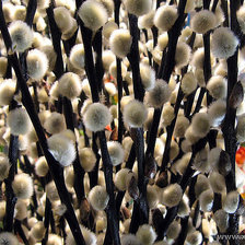 Схема вышивки «весна»