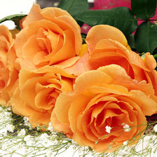 Схема вышивки «Розы»