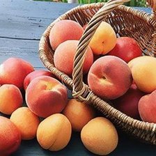 Схема вышивки «натюрморт»