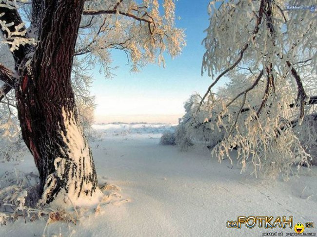 зима - оригинал