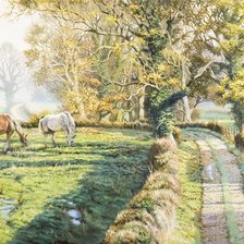 Схема вышивки «Пейзаж Вудинга»