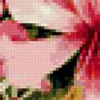 Предпросмотр схемы вышивки «№338932»