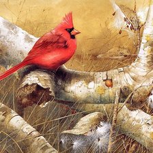 Схема вышивки «птичка»