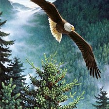 Схема вышивки «№338961»