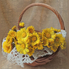 Схема вышивки «мать-и-мачеха»