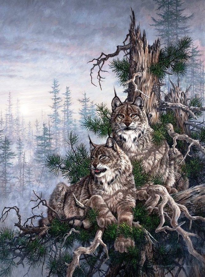 №338994 - оригинал