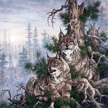 Схема вышивки «№338994»