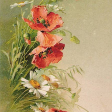 Схема вышивки «акварель»