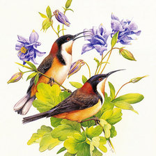 Схема вышивки «Птички»