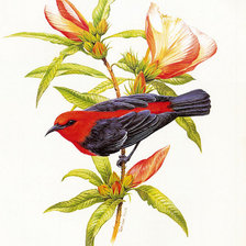 Схема вышивки «Птички»