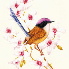 Схема вышивки «Птички»