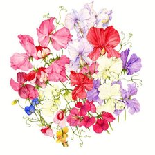 Схема вышивки «акварель»