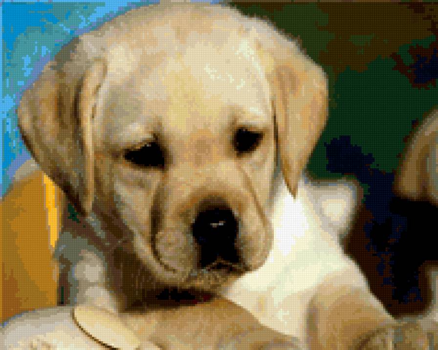 Щенок - собачки - предпросмотр