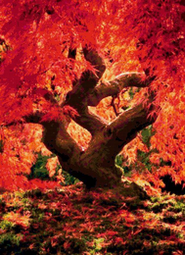 Как из сказки - осень, дерево - предпросмотр