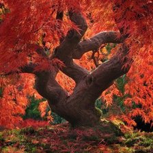 Как из сказки