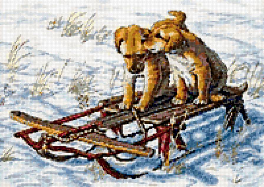 Собачки - собачки - предпросмотр