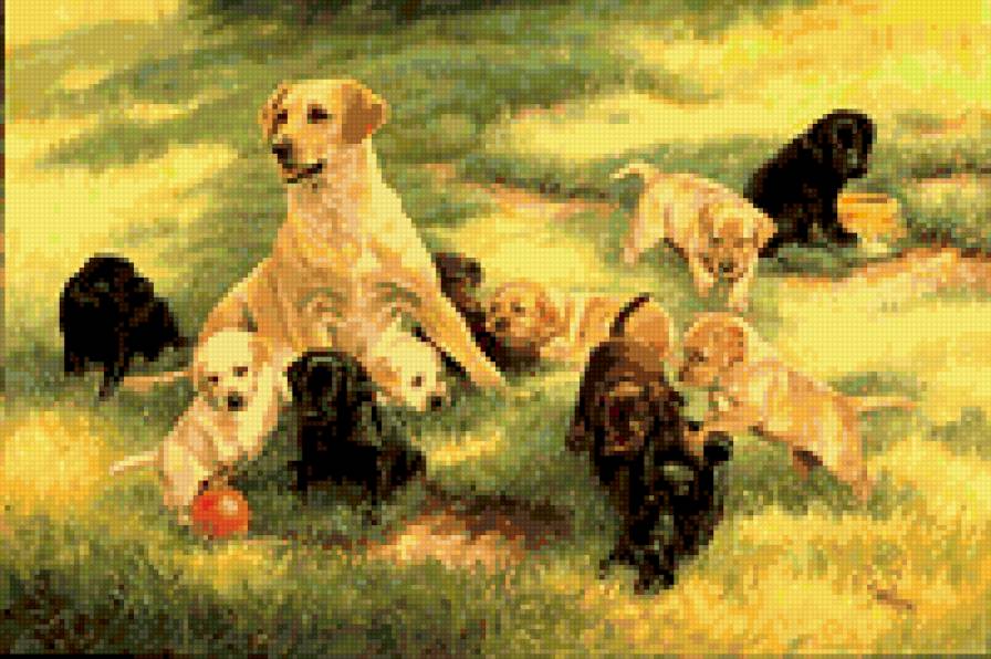 Семья - собачки - предпросмотр