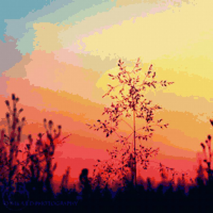 Закат в поле - закат, поле, трава - предпросмотр