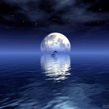 Схема вышивки «Луна и дельфины»