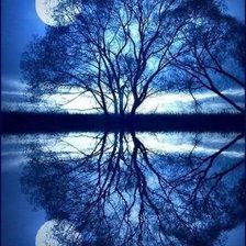 Схема вышивки «Отражение в пруду»