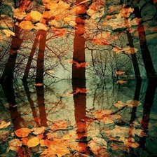 Схема вышивки «Отражение в воде»